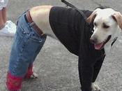 Nuevos caminos hacia estupidez generalizada