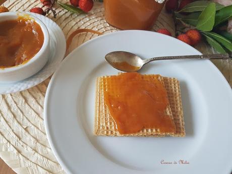 Jalea de madroños Jalea de madroños
