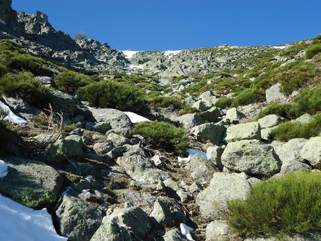 ARROYO DE LA VEJIGA