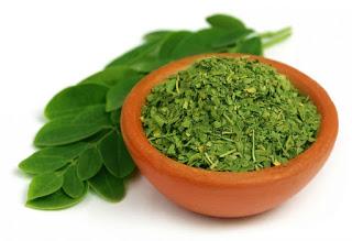 Moringa, Plantas Medicinales, Vivir saludablemente, Vivir con salud, Beneficios de la Moringa, Propiedades de la Moringa, 