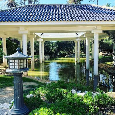 El-palmeral-alicante