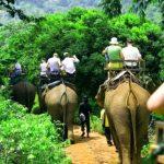 tailandia-elefantes