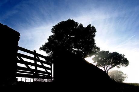 La manzana en la oscuridad - Clarice Lispector