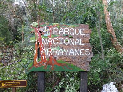 Descubriendo el Lago Nahuel Huapi: La Isla Victoria y el Bosque de los Arrayanes