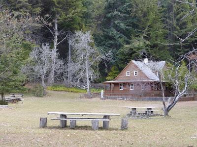 Descubriendo el Lago Nahuel Huapi: La Isla Victoria y el Bosque de los Arrayanes