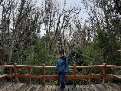 Descubriendo el Lago Nahuel Huapi: La Isla Victoria y el Bosque de los Arrayanes