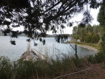 Descubriendo el Lago Nahuel Huapi: La Isla Victoria y el Bosque de los Arrayanes