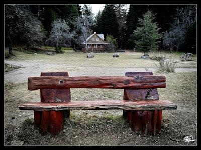 Descubriendo el Lago Nahuel Huapi: La Isla Victoria y el Bosque de los Arrayanes