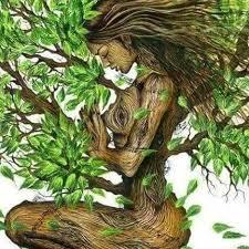 Resultado de imagen de gran árbol