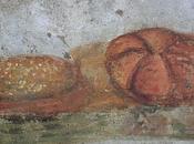 Panes pistores, panes panaderos antigua Roma