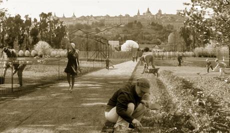 10 x 10 = 100. Toledo en Cien años