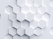 elusivo fósil viviente fondo oceánico