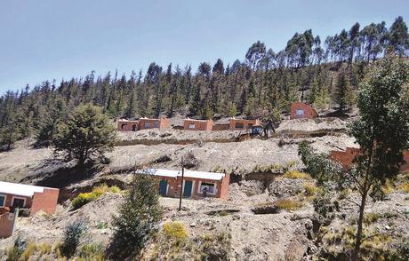 “Conservación Participativa”, un proyecto para recuperar las colindancias del Bosque de Bolognia a través de la conservación de anfibios nativos LPZ02