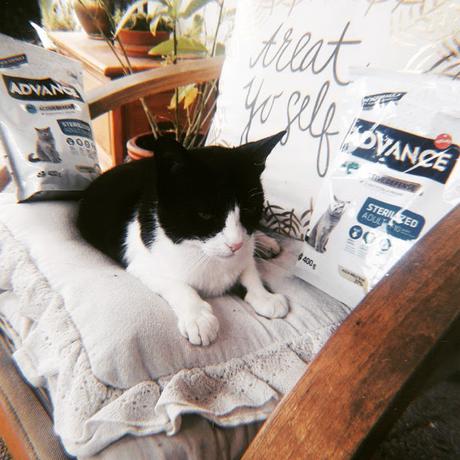 Probando Advance Sterilized Sensitive con TRND Probando Advance Sterilized Sensitive con TRND