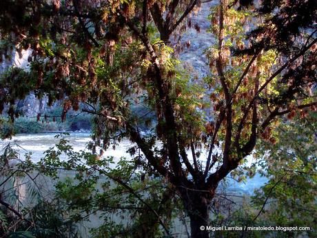 Ciudad de artistas y poetas