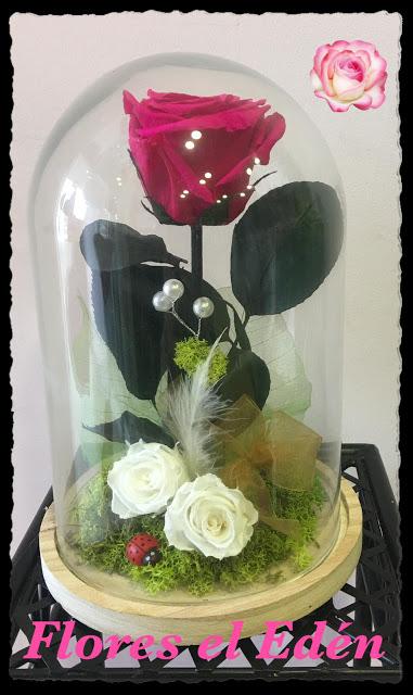 BLOGSSIPGIRL TE PRESENTA: FLORES EL EDEN, UN JARDIN EN EL QUE DESEARÁS PERDERTE