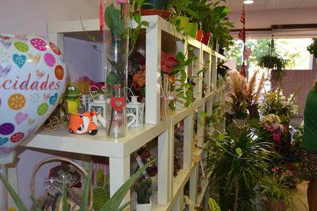 BLOGSSIPGIRL TE PRESENTA: FLORES EL EDEN, UN JARDIN EN EL QUE DESEARÁS PERDERTE