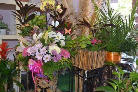 BLOGSSIPGIRL TE PRESENTA: FLORES EL EDEN, UN JARDIN EN EL QUE DESEARÁS PERDERTE