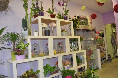 BLOGSSIPGIRL TE PRESENTA: FLORES EL EDEN, UN JARDIN EN EL QUE DESEARÁS PERDERTE