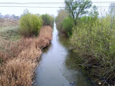 Antiguo Río Aratoi