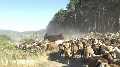 Poblado Minero de Almaraz