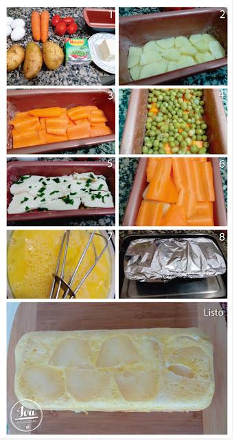 Terrina multicolor Terrina multicolor