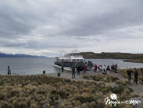 Qué hacer y ver en Ushuaia: opciones para invierno y verano