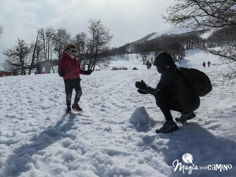 Qué hacer y ver en Ushuaia: opciones para invierno y verano