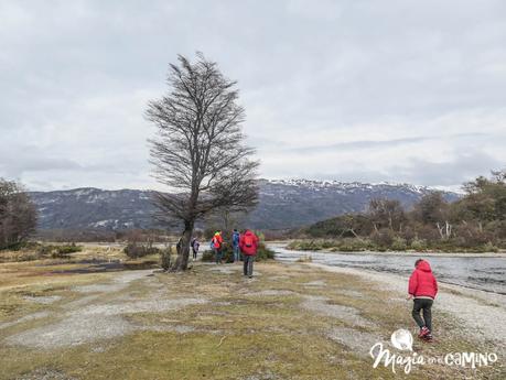 Qué hacer y ver en Ushuaia: opciones para invierno y verano