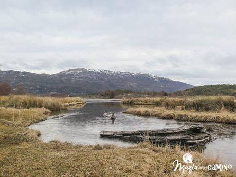 Qué hacer y ver en Ushuaia: opciones para invierno y verano