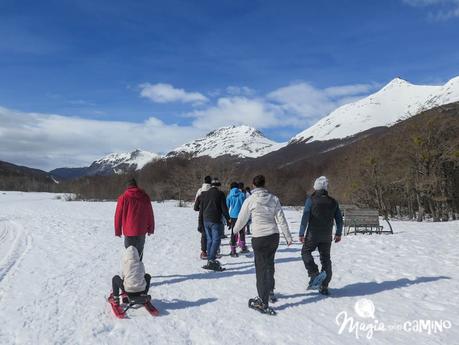 Disfrutá Ushuaia: moto de nieve, raquetas y trineos
