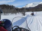 Disfrutá Ushuaia: moto nieve, raquetas trineos