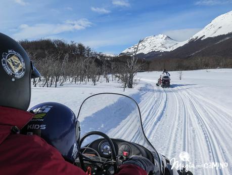 Disfrutá Ushuaia: moto de nieve, raquetas y trineos