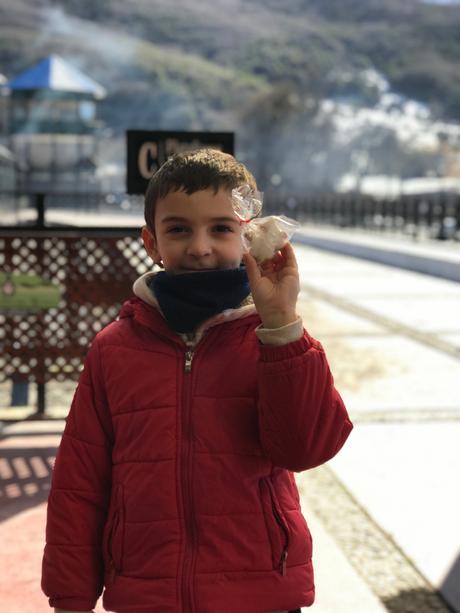 Tren del Fin del Mundo en Ushuaia: recorrido, tarifas e info práctica