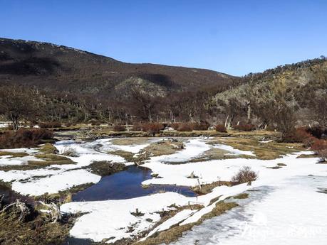 Tren del Fin del Mundo en Ushuaia: recorrido, tarifas e info práctica