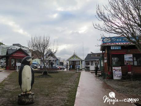 Navegar por el Canal de Beagle – Ushuaia