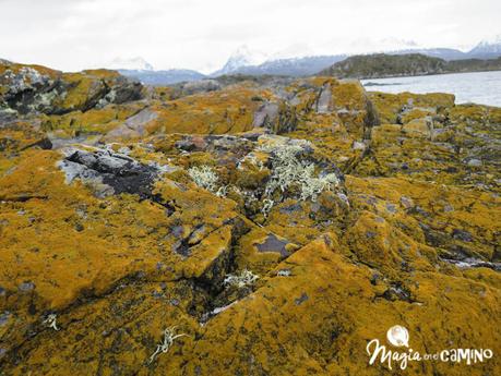 Navegar por el Canal de Beagle – Ushuaia