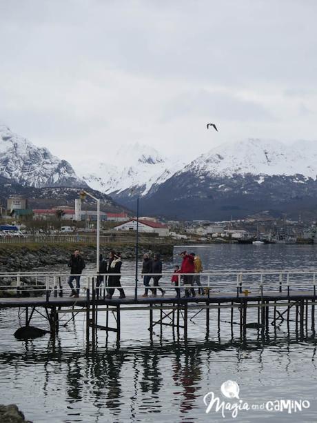 Navegar por el Canal de Beagle – Ushuaia