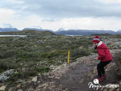 Navegar por el Canal de Beagle – Ushuaia