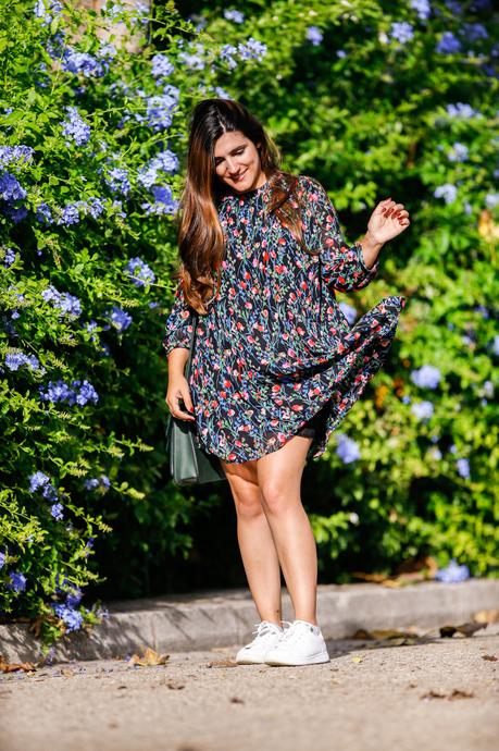 Flores de otoño Flores de otoño