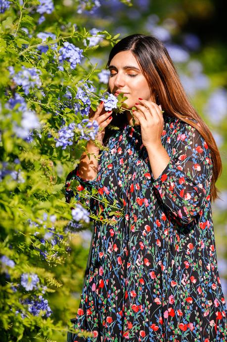 Flores de otoño Flores de otoño