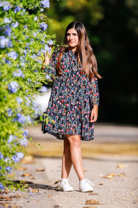 Flores de otoño Flores de otoño