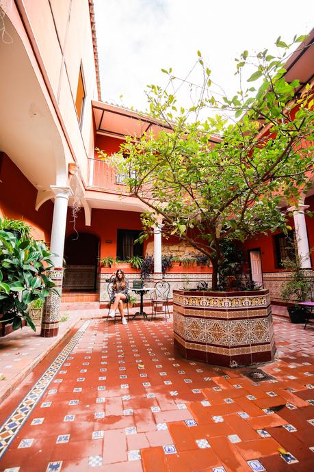 Flores de otoño Flores de otoño