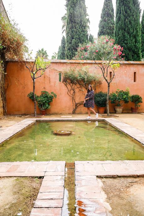 Flores de otoño Flores de otoño