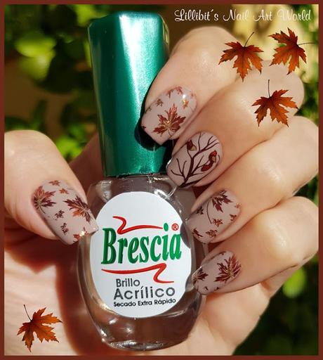 ¡Bienvenido otoño! con Brescia
