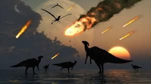 ECOLOGÍA- ESTAMOS EN VÍA DE EXTINCIÓN- ECOLOGÍA- ESTAMOS EN VÍA DE EXTINCIÓN-