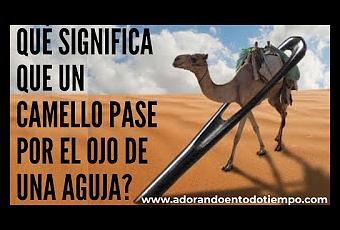 Qué significa que un camello pase por el ojo de una aguja? - Paperblog