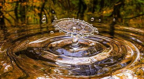 Equinoccio de Otoño y  Primavera en Feng Shui