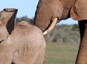 poder pequeños pasos (Nudge theory) gestión cambio.