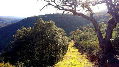 El presidente de Entreparques se reúne con responsables del parque nacional de Cabañeros para diseñar la nueva estrategia de turismo en la comarca El presidente de Entreparques se reúne con responsables del parque nacional de Cabañeros para diseñar la nueva estrategia de turismo en la comarca